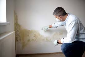 Best Mold Documentation for Insurance Claims  in Centreville, MS